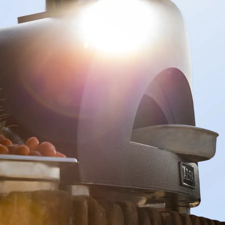 Cuptor pentru pizza Alfa One FXONEGRAM (Brown) - 7