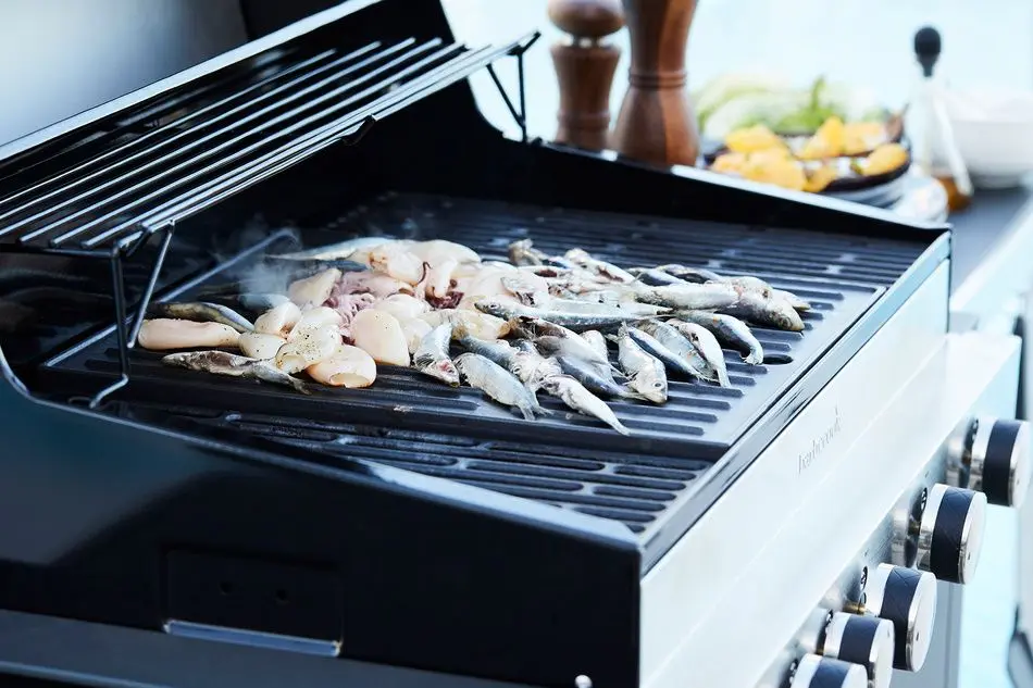 Гриль Barbecook Stella 4311 BC-GAS-2038 (Black) - 7