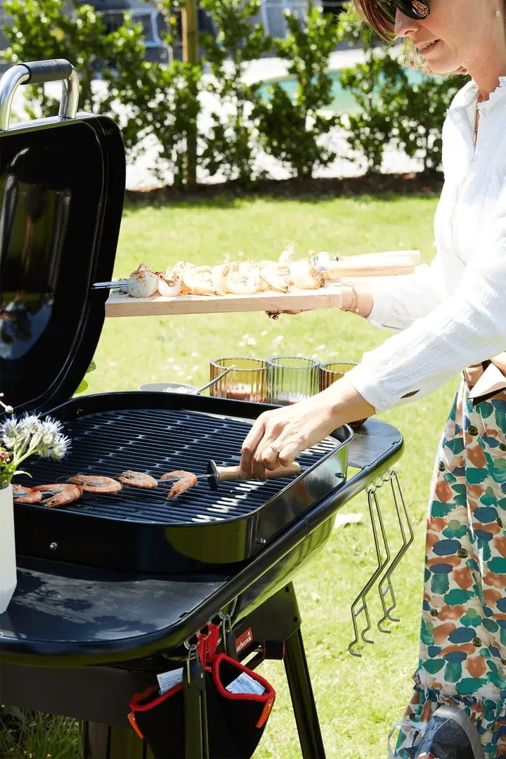 Гриль Barbecook Magnus Premium (Black)