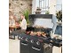 Gratar Char-Broil Professional Core B 4 (Black)