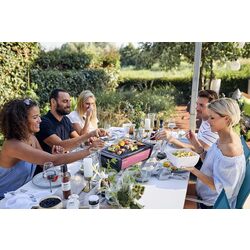 Гриль портативный Enders Aurora (Taupe) Thumb