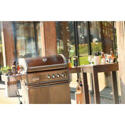 Гриль Heatstrip Crossray TCS4EU30 + TCS4-Trolly (Silver) Thumb