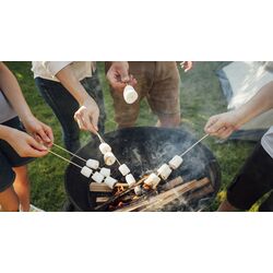 Гриль-очаг Kaminer G11825 (Black) Thumb