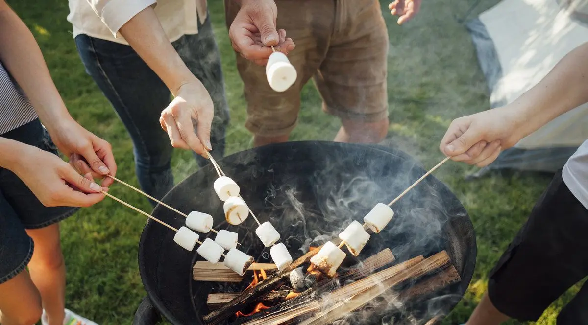 Гриль-очаг Kaminer G11825 (Black) - 6