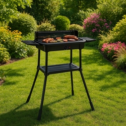 Электрический гриль MultiGarden BQ231-SWGF (Black) Thumb