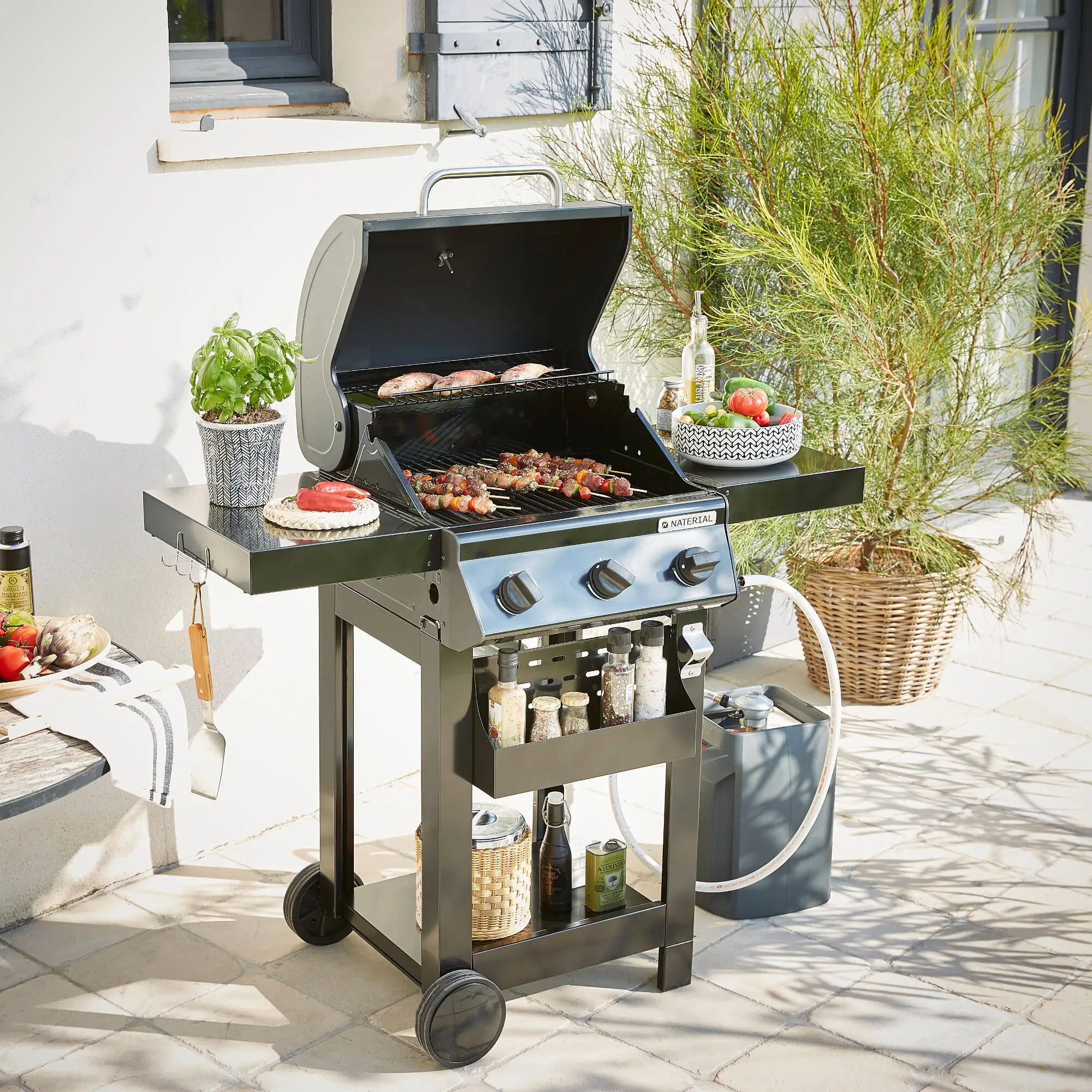 Grill pe gaz Naterial Alton (Black) - 7