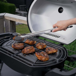 Grill pe gaz Naterial Argon (Black) Thumb