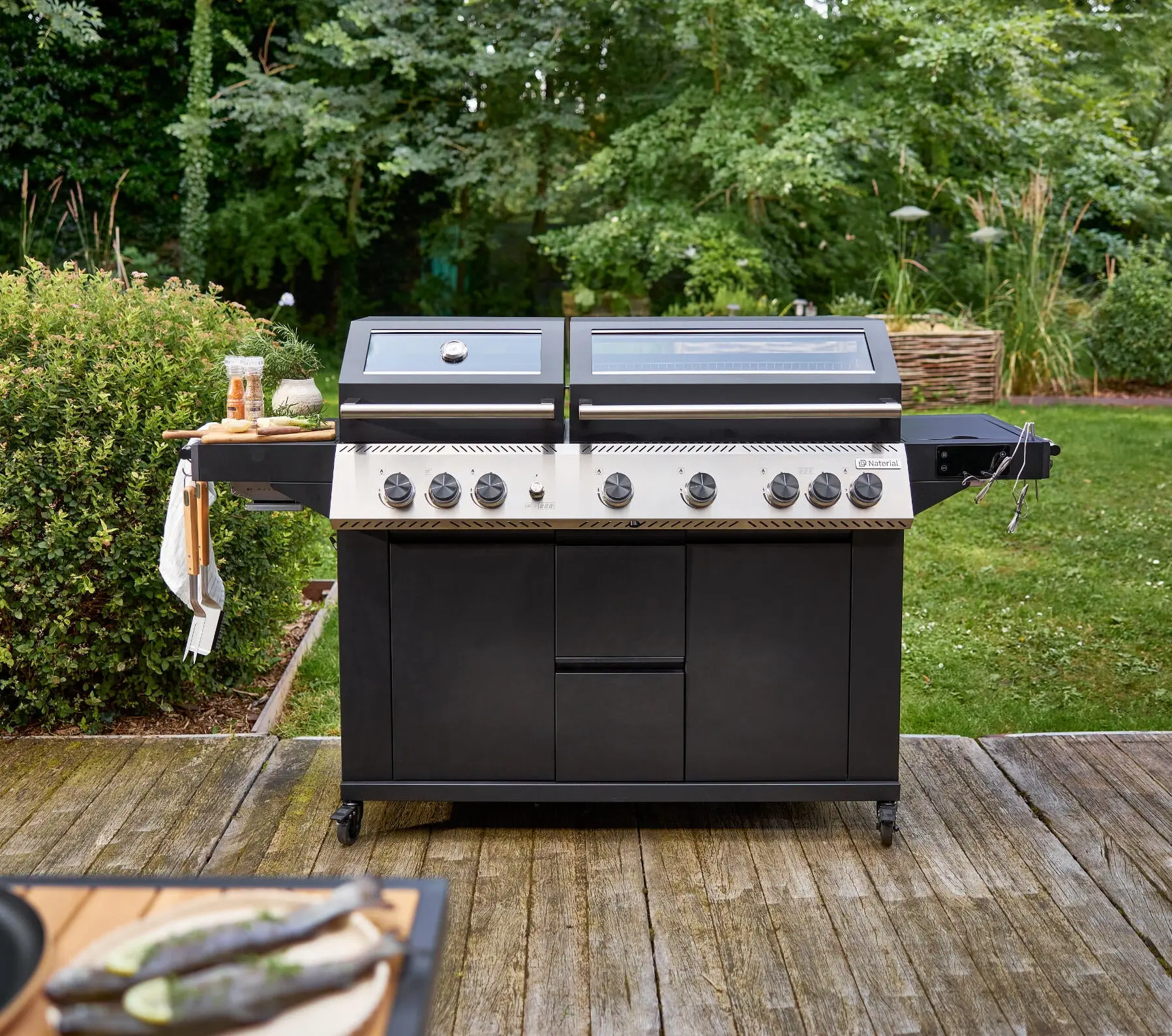 Grill pe gaz Naterial Upsilon (Black) - 10