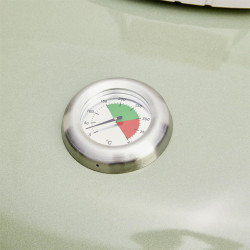 Grill Naterial Phoenix Beta II (Light Green) Thumb