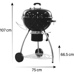 Grill Naterial Phoenix Beta III (Black) Thumb