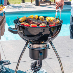 Grill Naterial Phoenix Beta III (Black) Thumb