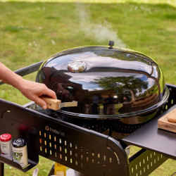 Grill Naterial Phoenix Gamma (Black) Thumb