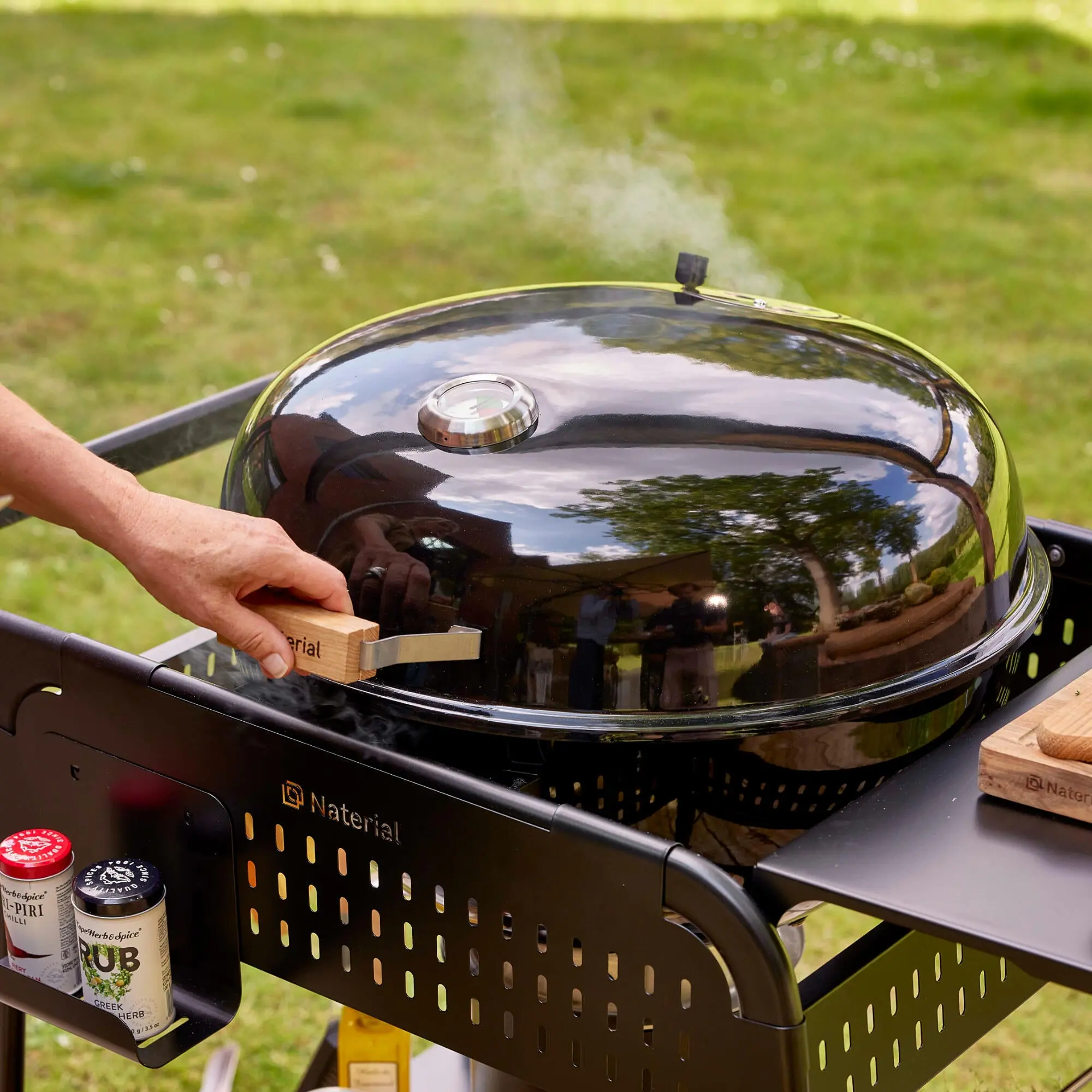 Grill Naterial Phoenix Gamma (Black) - 9
