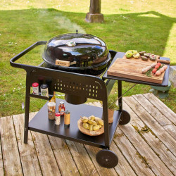 Grill Naterial Phoenix Gamma (Black) Thumb
