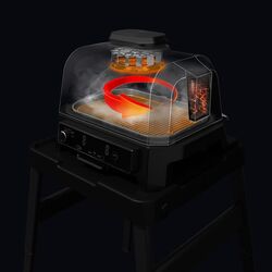 Gratar de afumat electric Ninja Woodfire Pro XL OG850EU (Black) Thumb