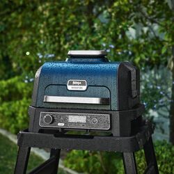 Gratar de afumat electric Ninja Woodfire Pro XL OG850EU (Black) Thumb