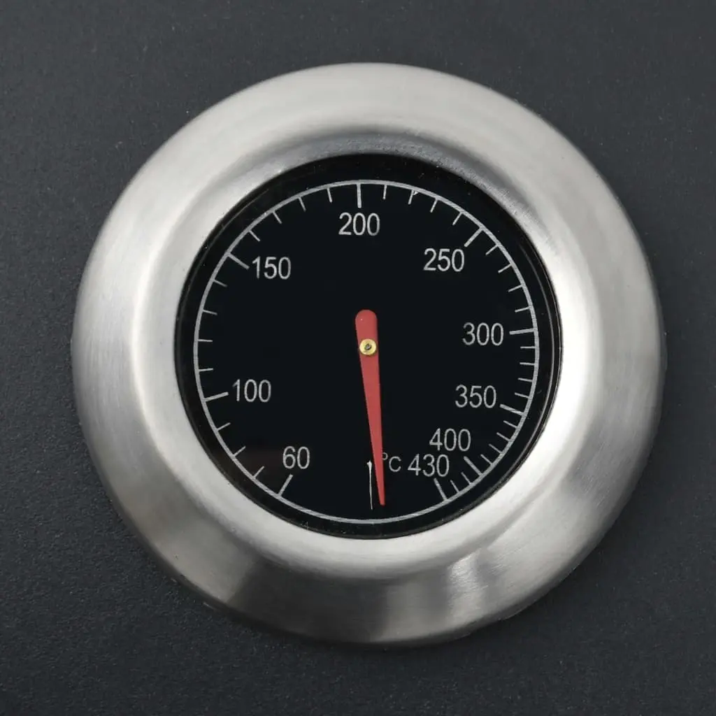 Gratar pe gaz VidaXL 310105 (Black)