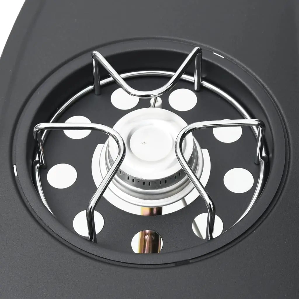 Gratar pe gaz VidaXL 310105 (Black)