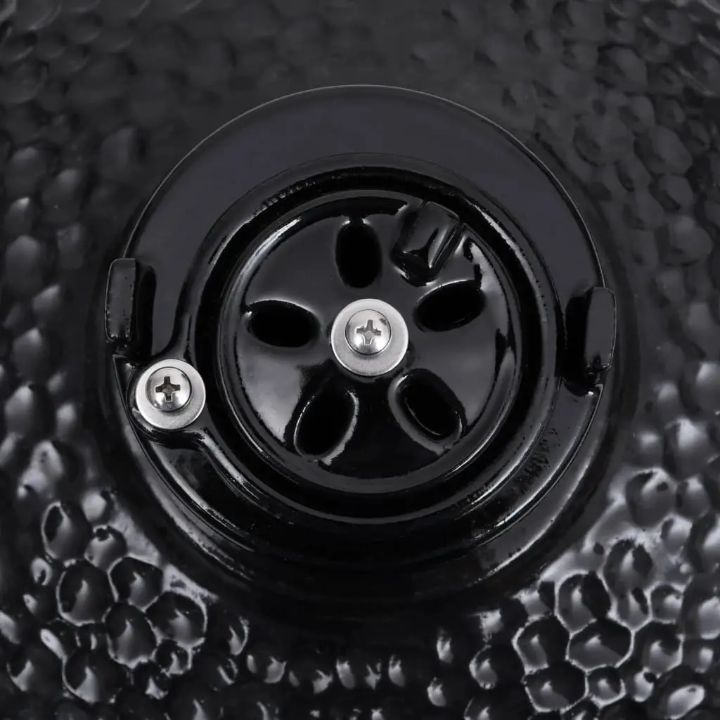 Gratar cu afumatoare VidaXL 316093 (Black)