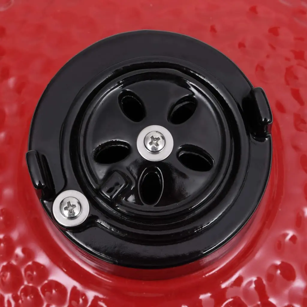 Gratar cu afumatoare VidaXL 316095 (Red) - 9