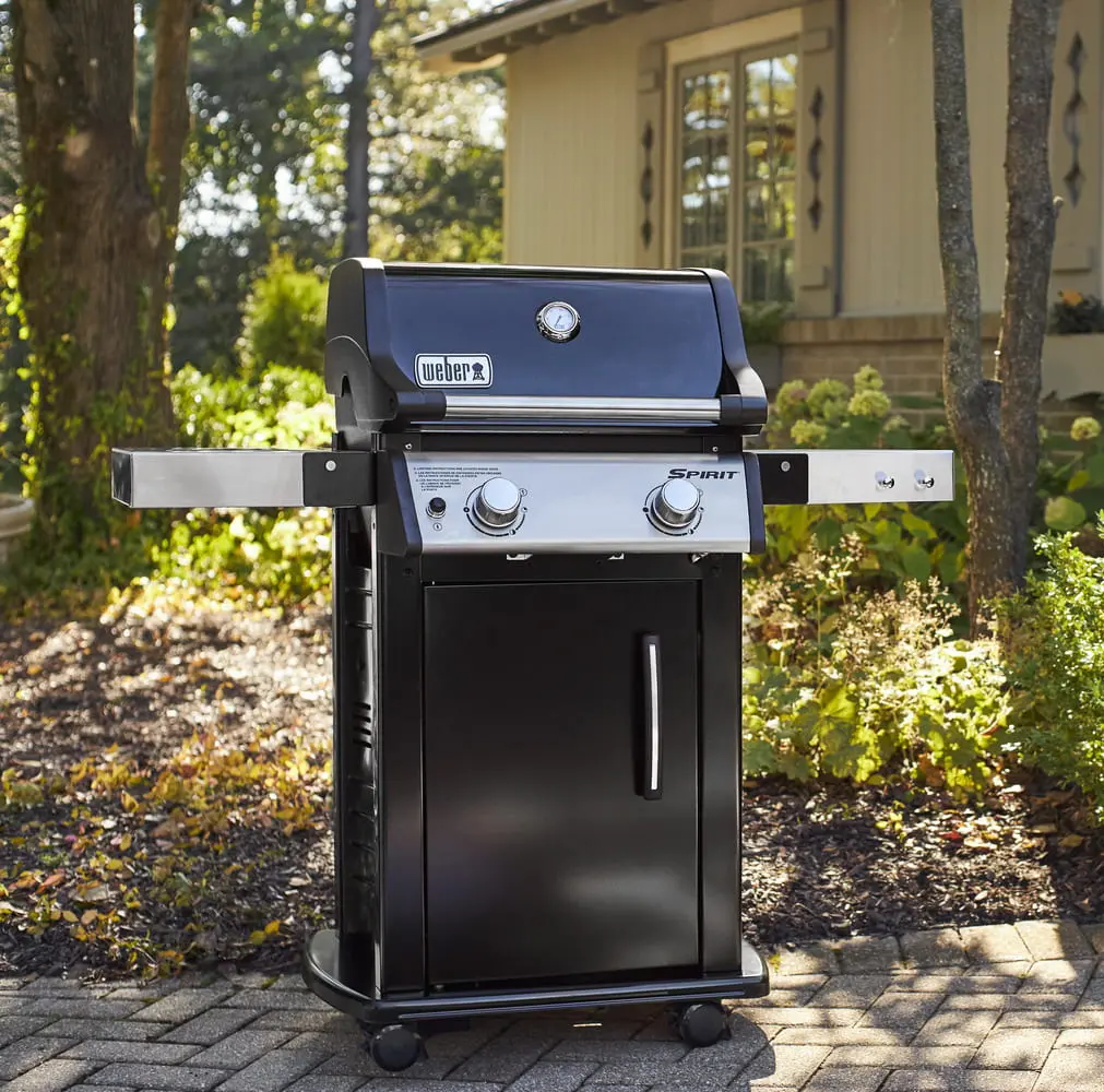 Grill pe gaz Weber 12023410 (Black) - 5