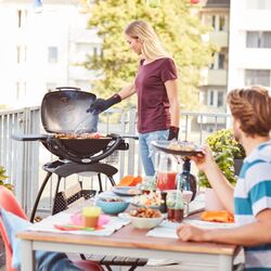 Gratar pe gaz Weber Stand Line Q 2200 (Black) Thumb