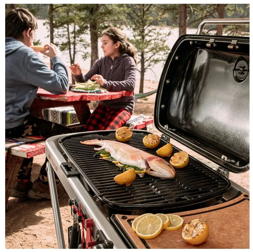 Gratar pe gaz Weber Traveler (Black) - 12