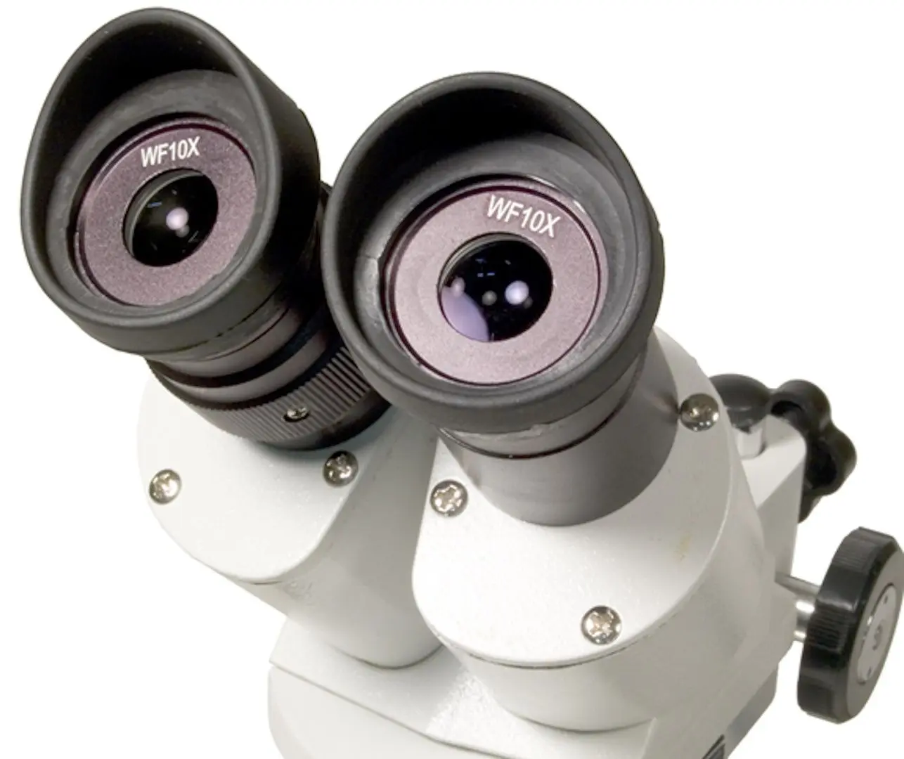 Microscop Levenhuk 3ST (White/Black)