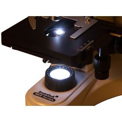 Microscop Levenhuk MED D10T (White) Thumb
