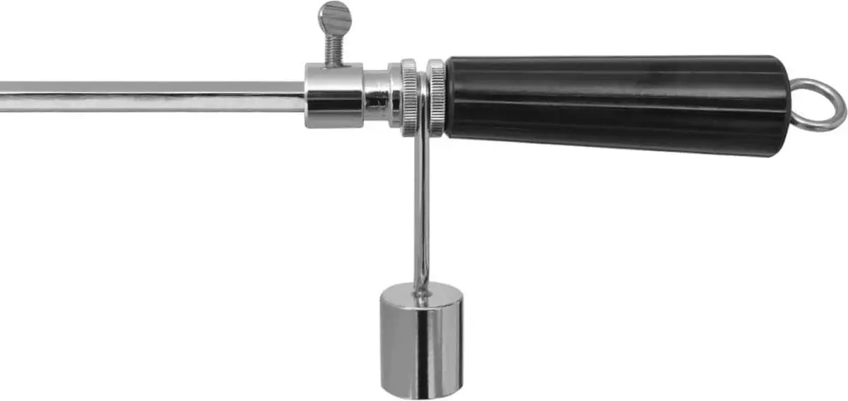 Rotisor electric VidaXL 42245 (Inox) - 5