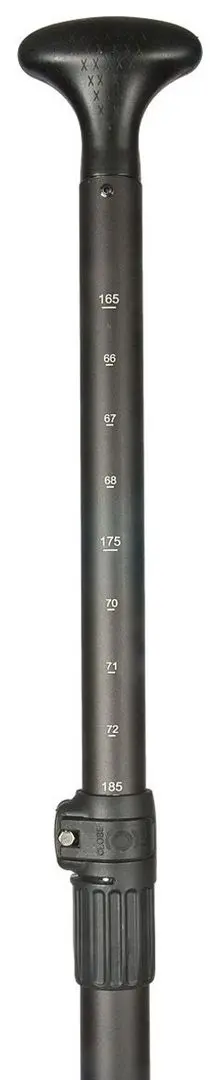 Placă de surf gonflabilă Enero Sea Adventure 1039473 (Wood) - 6