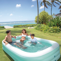 Piscina gonflabila Intex Swim Center Family Lounge 58497 (Blue/White) Thumb