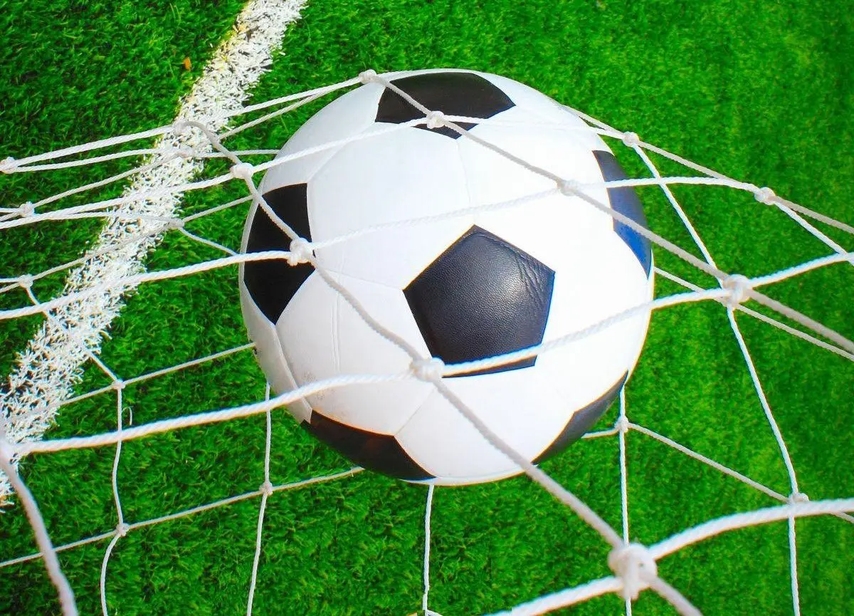 Poarta pentru fotbal Enero 1053622 (White/Red)