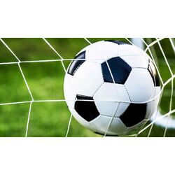 Poarta pentru fotbal GardenLine TIS3395 (White) Thumb