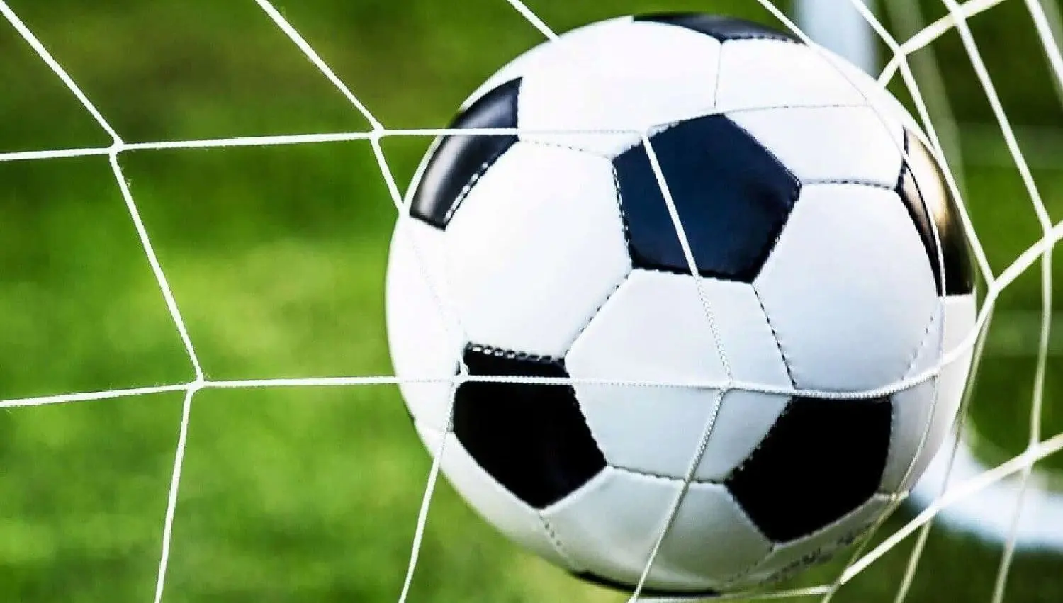 Poarta pentru fotbal GardenLine TIS3395 (White)