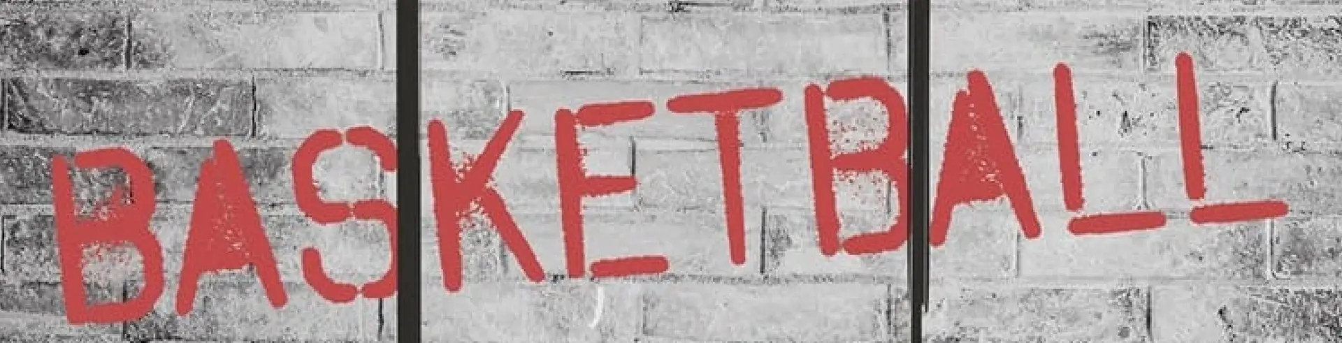 Баскетбольное кольцо Garlando Toorx Baltimora (Black/Grey)