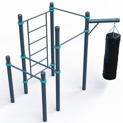 Спортивный комплекс PlayPark Workout С-049 Thumb