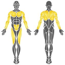 Тренажер для фитнеса PlayPark B-25 Thumb