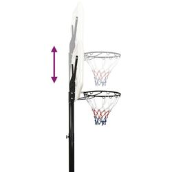 Баскетбольная стойка VidaXL 93648 (Black/White) Thumb
