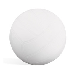 Volei pentru piscină Intex 28095 (White/Black) Thumb