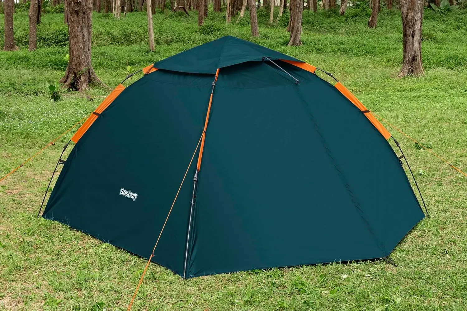 Cort Bestway Alpine Dome 68142BW (Blue) - 4