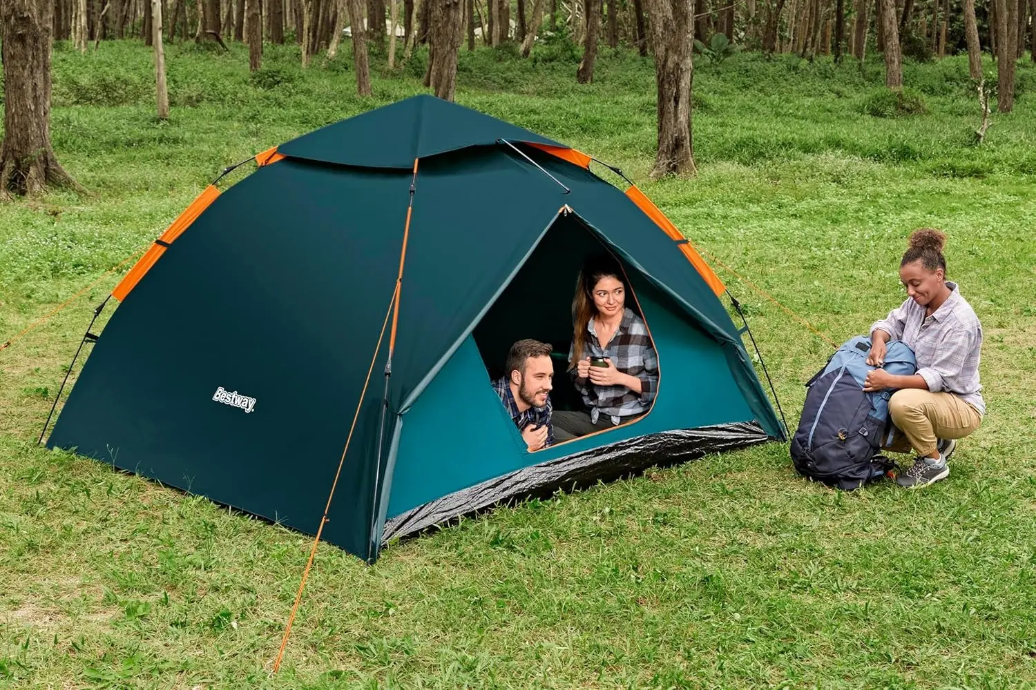 Cort Bestway Alpine Dome 68142BW (Blue) - 5