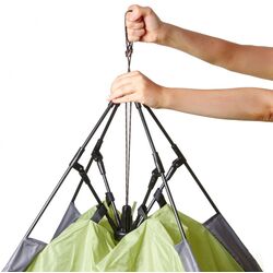 Cort Brunner Palma (Green/Grey) Thumb