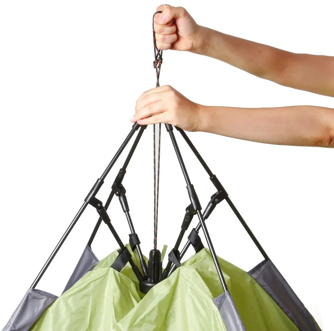 Cort Brunner Palma (Green/Grey) - 3