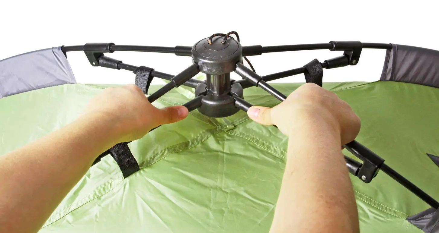 Cort Brunner Palma (Green/Grey) - 5