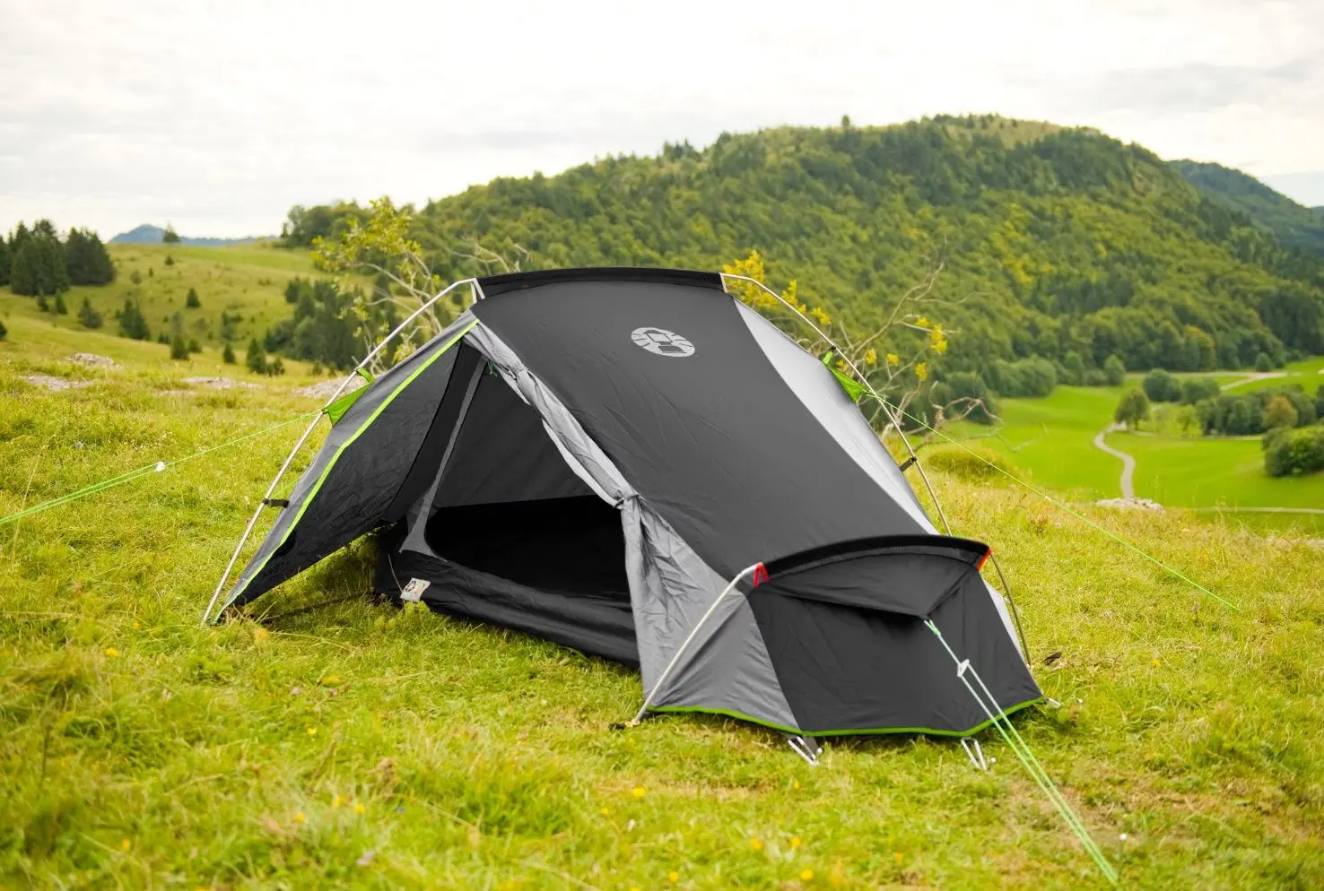 Палатка Coleman Cobra 2 (Grey/Green) - 3