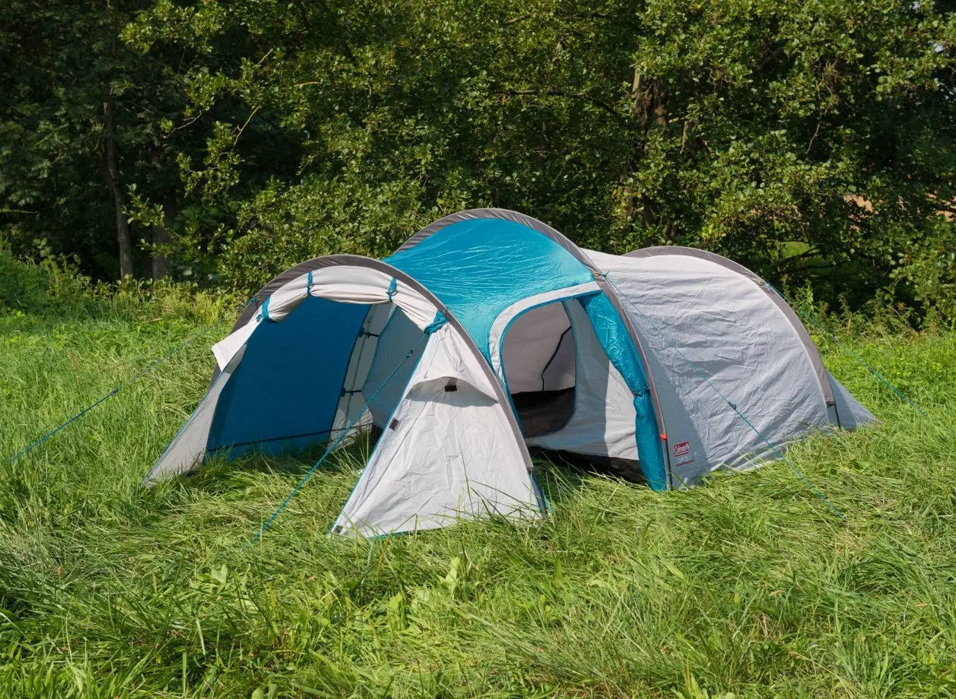 Палатка Coleman Cortes 3 (Grey/Blue) - 6