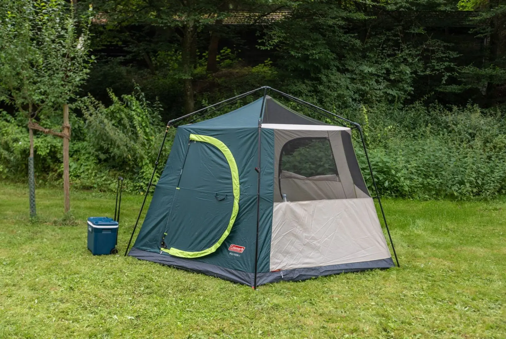 Палатка Coleman Hexagon 6 (Beige/Green) - 5
