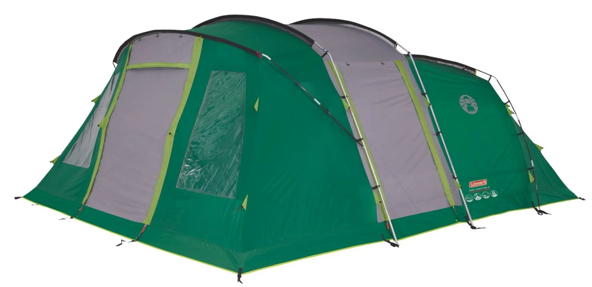 Cort Coleman Oak Canyon 6 (Green/Grey) - 2