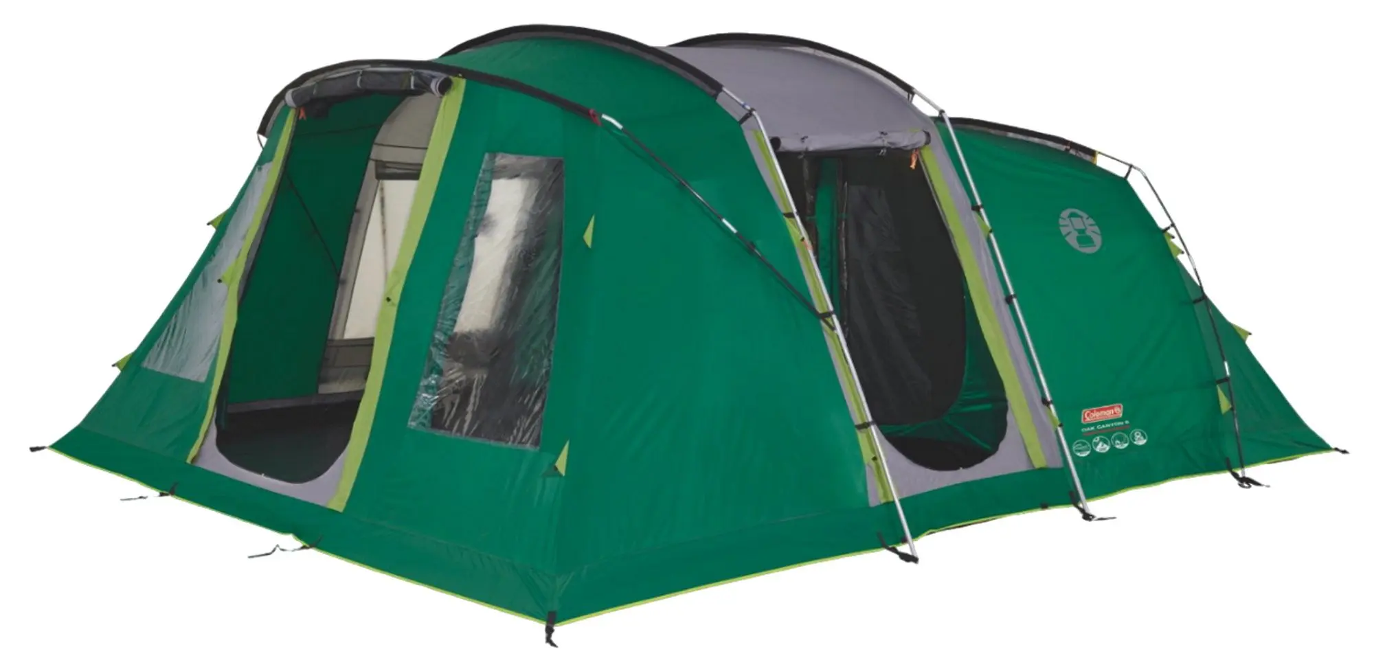 Cort Coleman Oak Canyon 6 (Green/Grey)
